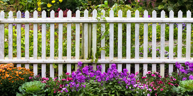 wooden picket fence cost comparison around house