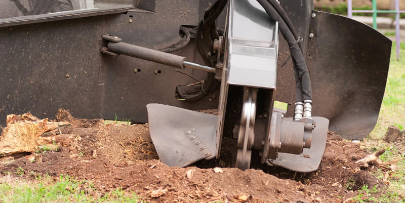 stump removal using a stump grinder