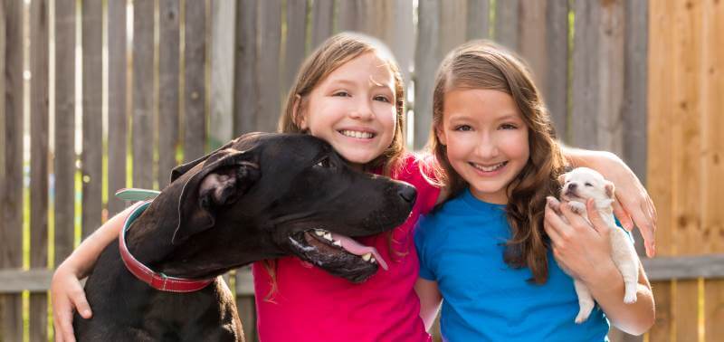 Twin sisters with dogs in fenced yard
