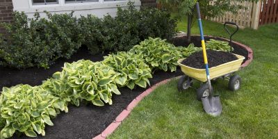 adding mulch to planter with wheelbarrow