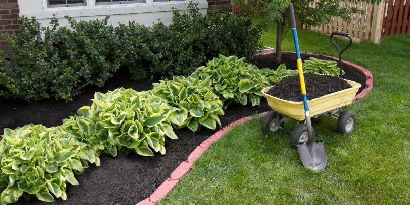 adding mulch to planter with wheelbarrow