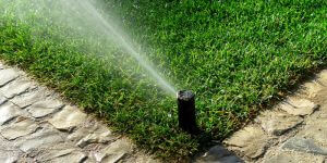lawn sprinkler irrigation system watering yard