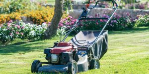 Cost to Hire a Landscaper for Seasonal Yard Cleanup