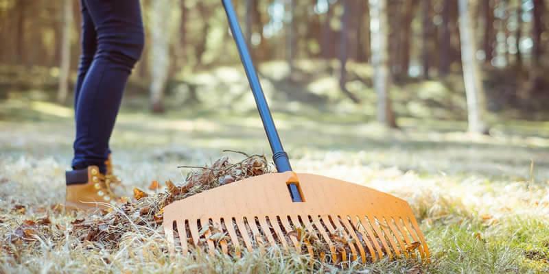 woman raking old leaves in spring cleanup