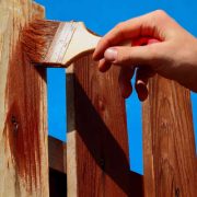 paint or stain a wood fence