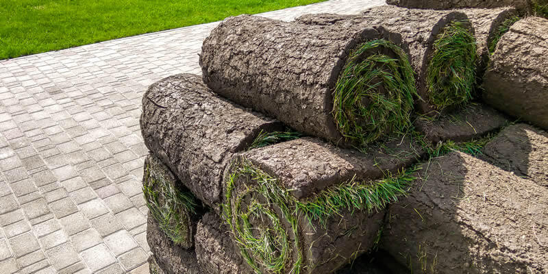 pallet of sod rolls ready for installation