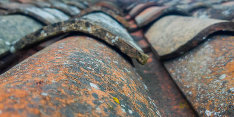 dirty and old roof tiles