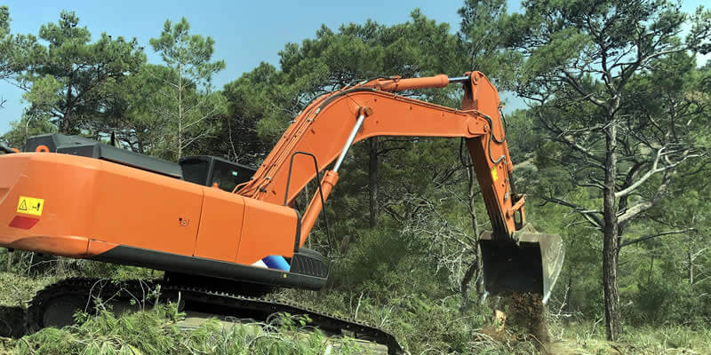 excavator clearing land of trees and stumps