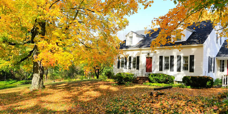home with leaves on lawn in fall season